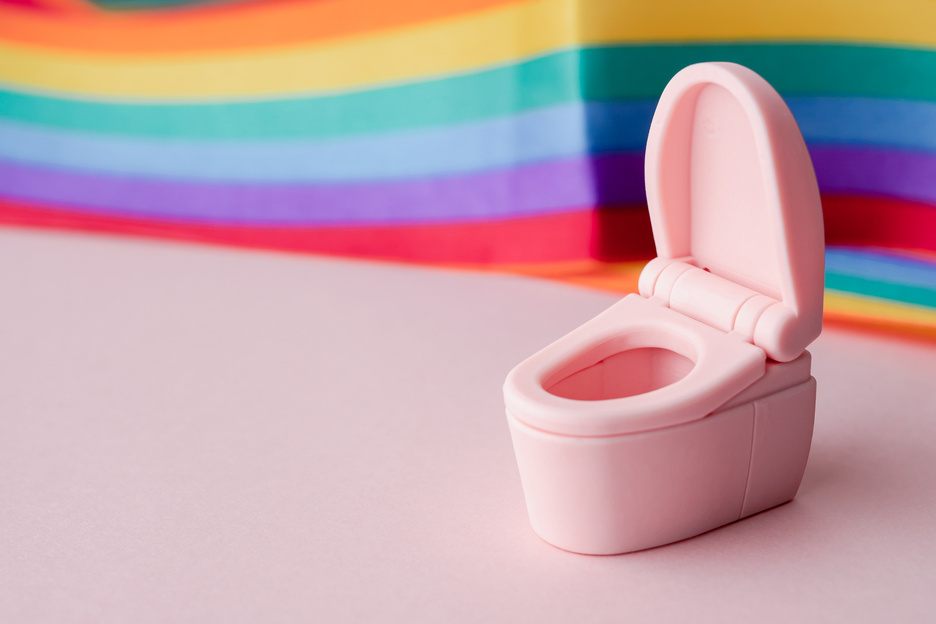 Rainbow Flag Behind a Miniature Pink Toilet 