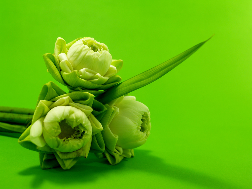 Green Flowers